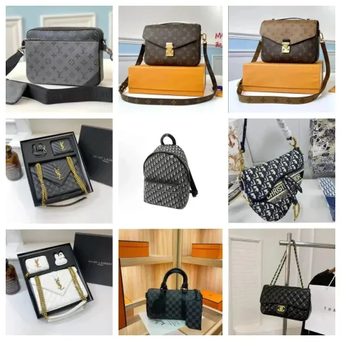 Louis Vuitton Monogram Chain Handbags Multiple Brands